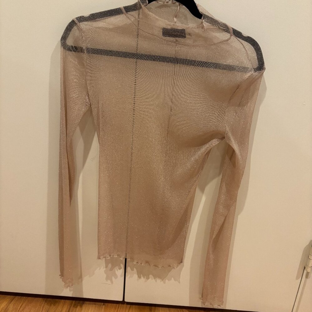 Dusty Rose Sparkly Mesh Top, size L